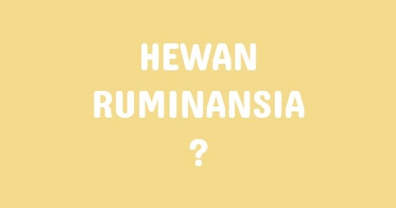  Jelaskan  Yang Dimaksud Hewan  Ruminansia dan Berikan 