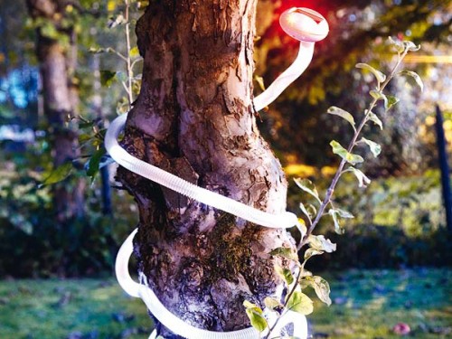 Cool Outdoor Lighting Solutions