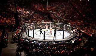 Aerial view of an MMA Octagon