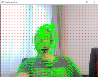 Opencv OpticalFlow