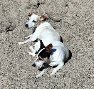 Thelma and Louise found a sun trap