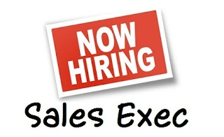 Hire Sales Executive