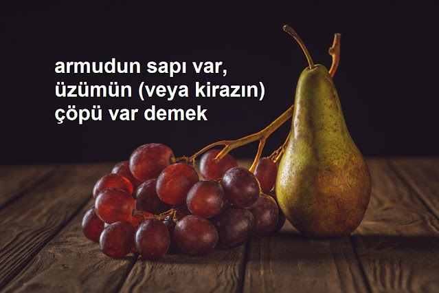 armudun sapı var, üzümün (veya kirazın) çöpü var demek