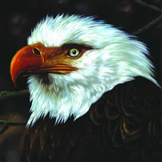 Mogwai - The Hawk Is Howling (2008)