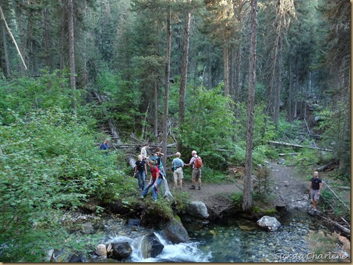 Charlenes hike pics_20090820_054