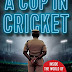 भारत में क्रिकेट के नाम पर धोखाधड़ी, बीसीसीआई प्रशासक भारी भ्रष्टाचार में लिप्त Fraud in the name of cricket in India, BCCI administrators involved in massive corruption