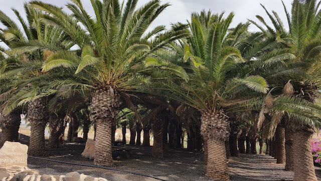 Fuerteventura – od Ajuy po Morro Jable czyli południe wyspy