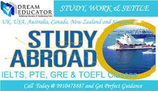 Overseas Study Consultant