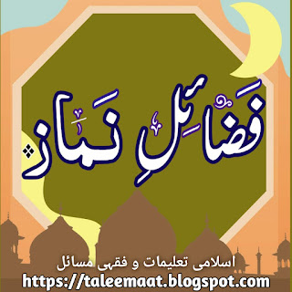 Islami taleemaat