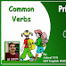 Common Verbs work sheet for Primary students By Ashraf VVN