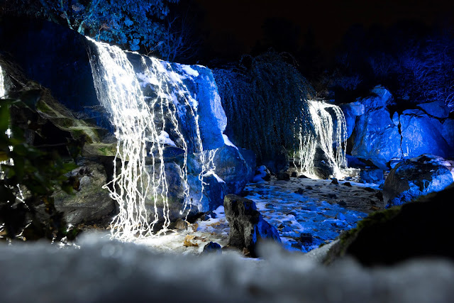 Waterfall Lights at Chicago Botanic Garden's Lightscape. Image courtesy of Chicago Botanic Garden.