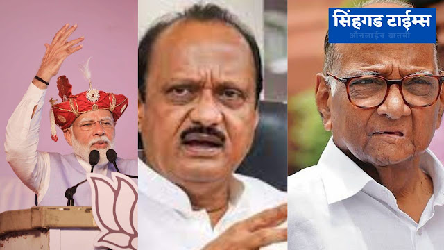 Narendra-Modi-Criticized-on-Sharad-Pawar-And-Ajit-Pawar-Statement