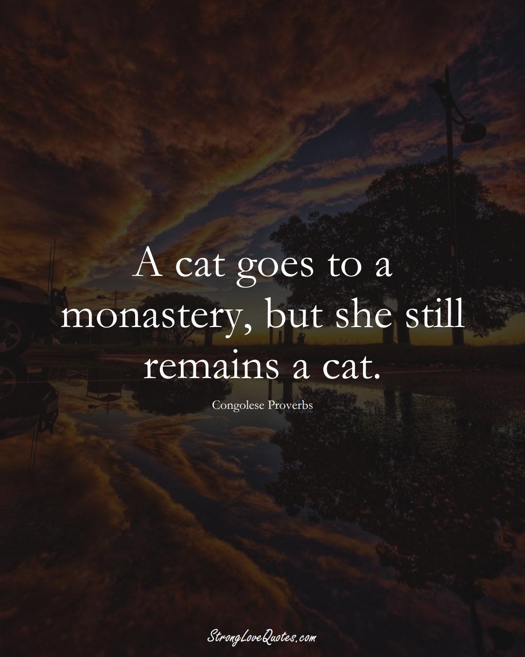 A cat goes to a monastery, but she still remains a cat. (Congolese Sayings);  #AfricanSayings