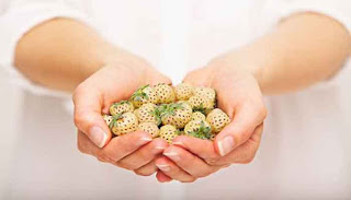 7 Manfaat Pineberries Buat Kesehatan Anda