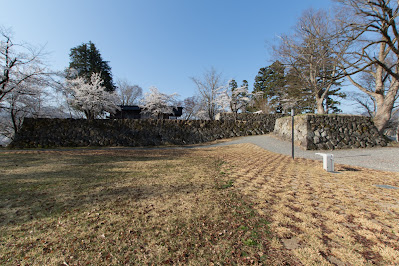 Iiyama Castle