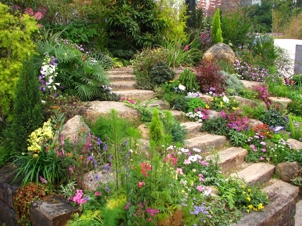 Rock Garden Design Ideas