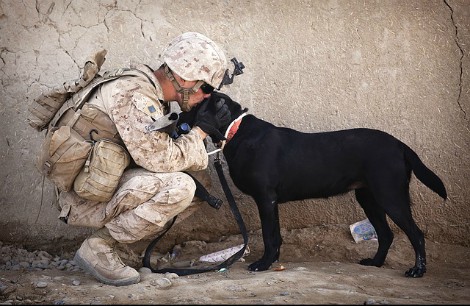 Soldado besando a su perro