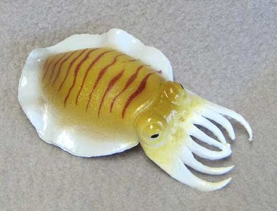 Plastic Cuttlefish