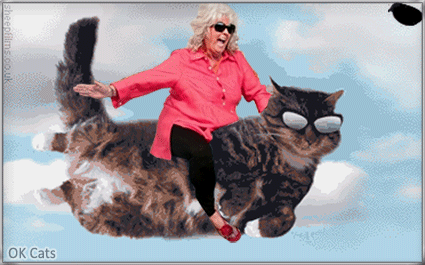 Art cat GIF with caption • Paula Deen riding a flying cat wearing flying sunglasses. DEAL WITH IT [ok-cats.com]