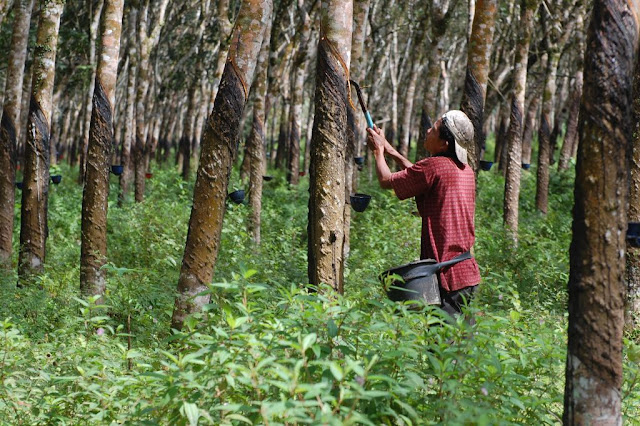  Sumber Daya Alam yang Dapat Diperbaharui Beserta Manfaatnya 13 Sumber Daya Alam yang Dapat Diperbaharui Beserta Manfaatnya