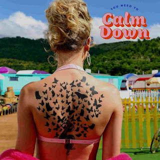 You Need To Calm Down Lyrics – Taylor Swift