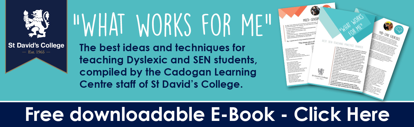  Download this SEN e-book from St David's College.