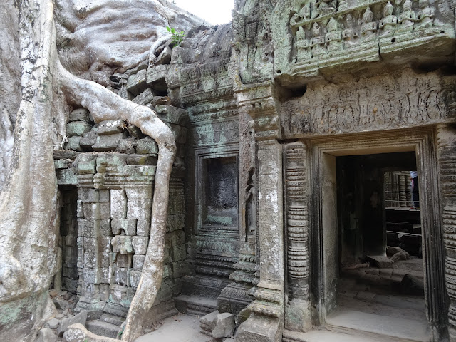 angkor ta prohm siem reap kambodża