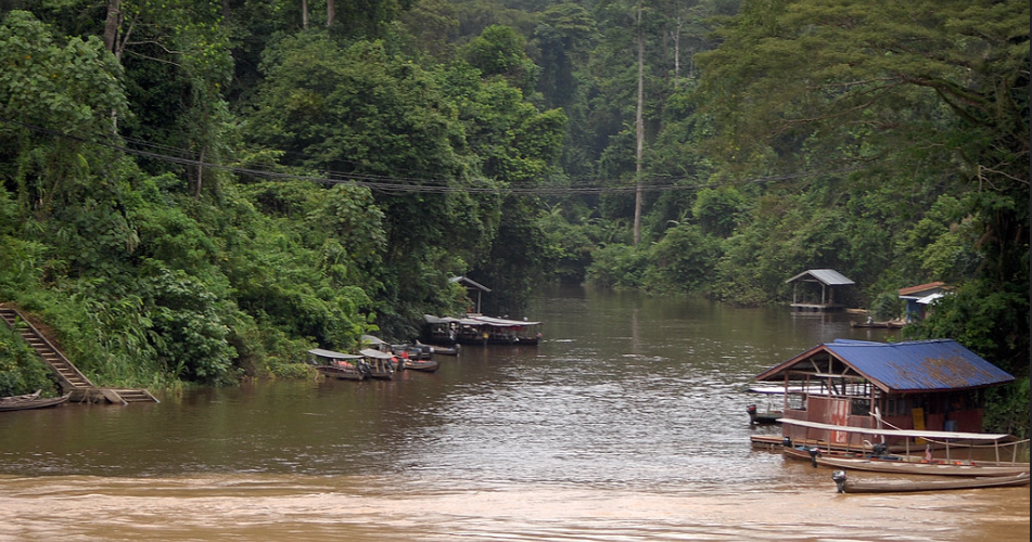 Pakej Taman Negara Pahang 2019: SUNGAI TAHAN TAMAN NEGARA