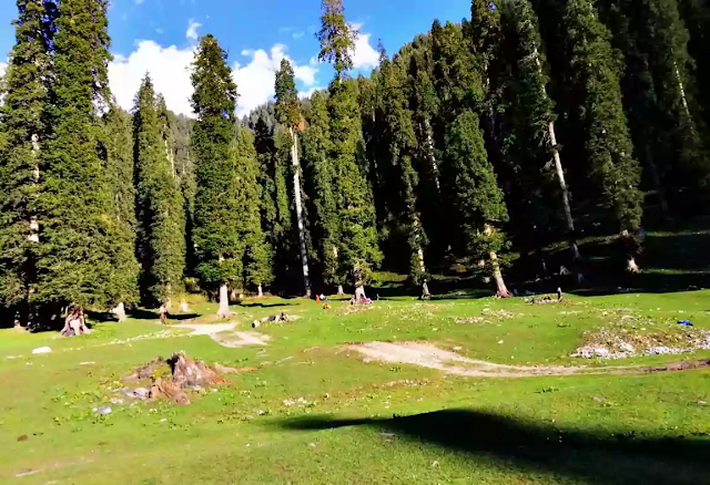 Beautiful Leepa Valley, Azad Kashmir Pakistan | Tourist Guide