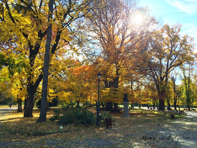 Otoño, Borisovata Gradina, o Parque de la Libertad, Sofía, Bulgaria