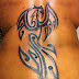 Tattoo designs collection: phoenix tattoos best phoenix tattoo this