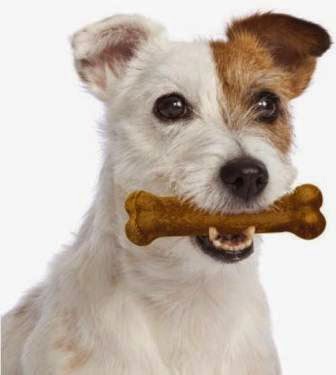 wishbone dog chew toy