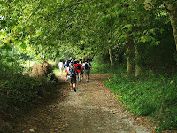 Torrent de les Cases Noves