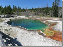 yellowstone ours 17