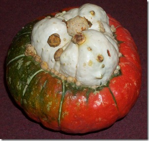 Turban_squash[1]