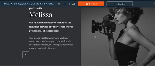 Melissa Photography Theme Free Wordpress Themes by it-nextbd