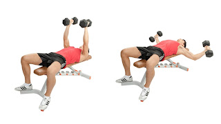 10 Best Chest Workouts and Exercises for a Good chest - Fitness club