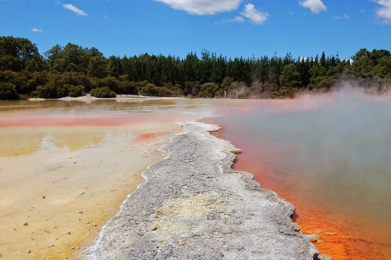 champagne-pool-11