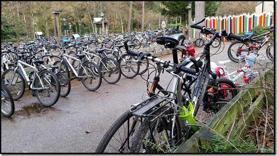 0318bikes