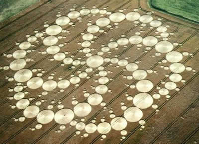 Fenomena Crop Circle Lingkar Tanaman Pola Unik