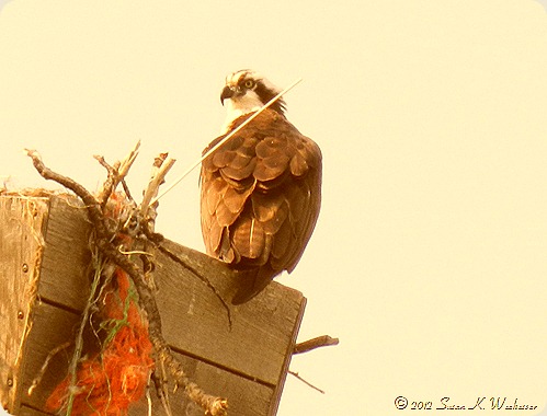 20120814_771