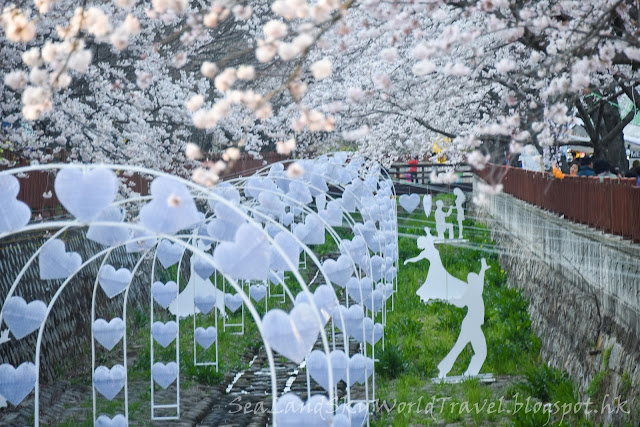 鎮海站余佐川櫻花