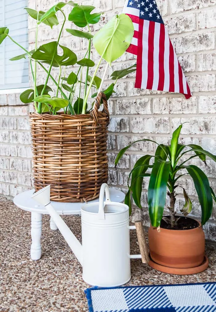 plants in wicker basket, watering can, flag
