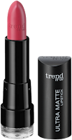 Preview: Die neue dm-Marke trend IT UP - Ultra Matte Lipstick 040 - www.annitschkasblog.de