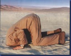 Head in the sand