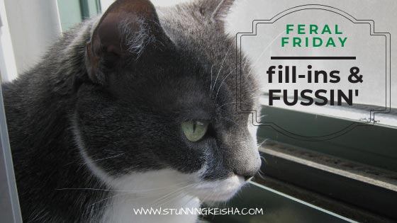 Feral Friday Fill-ins & Fussin'