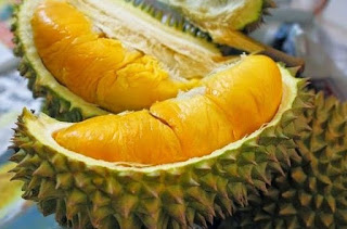 Inilah Bahaya Durian Bagi Ibu Hamil