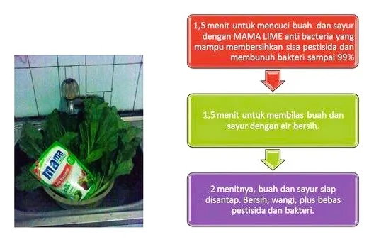 mencuci buah dan sayur