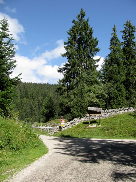 IMG 0484