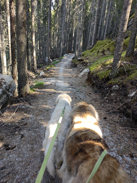 hallingspranget nesfjellet hallingdal